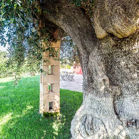 Tenuta Fascianello Apartment